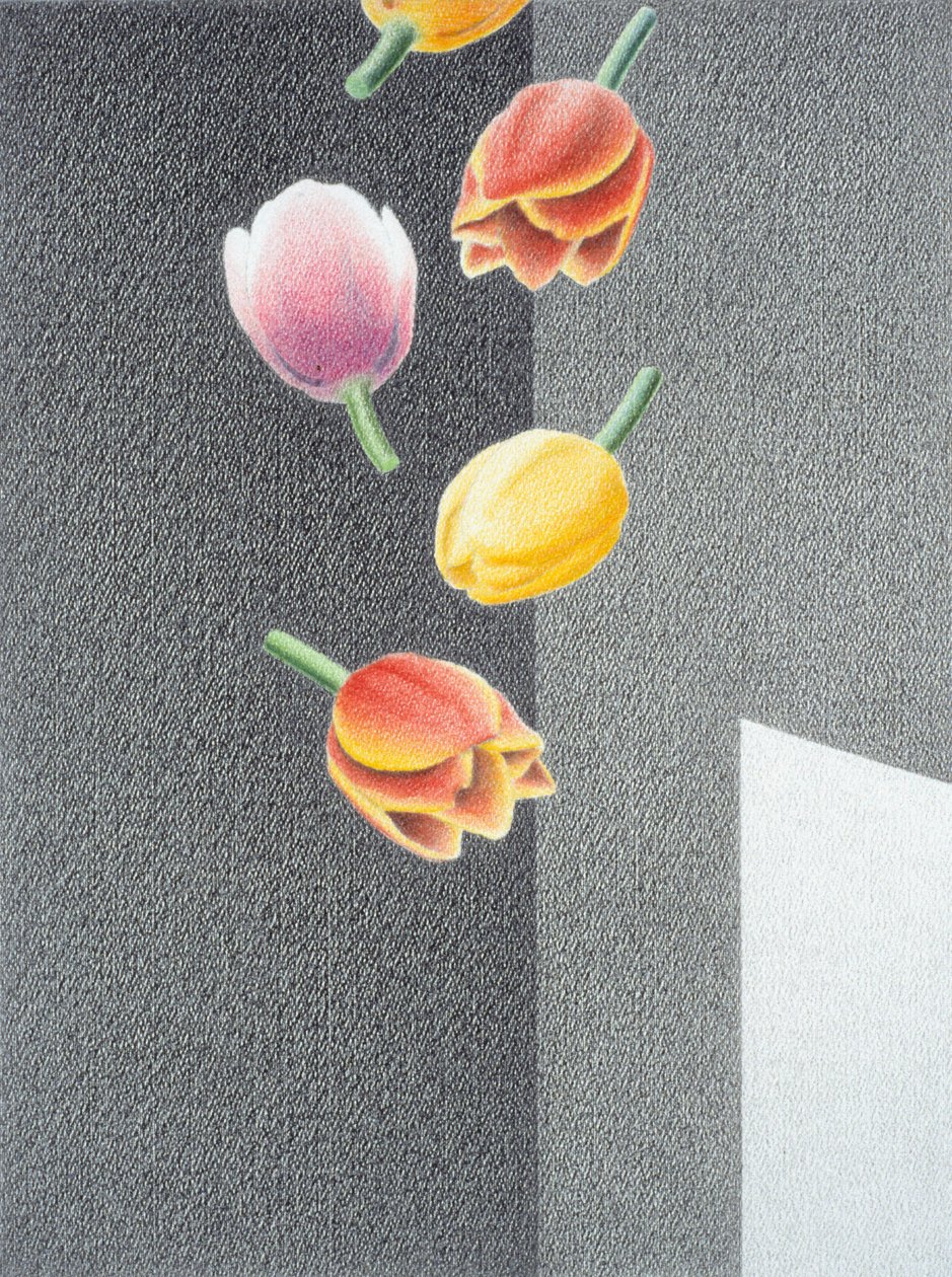Tulipes - Rene Boin