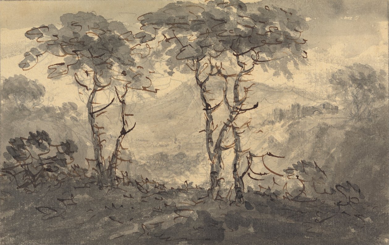 Sapin dans un paysage de montagne - Rev. William Gilpin