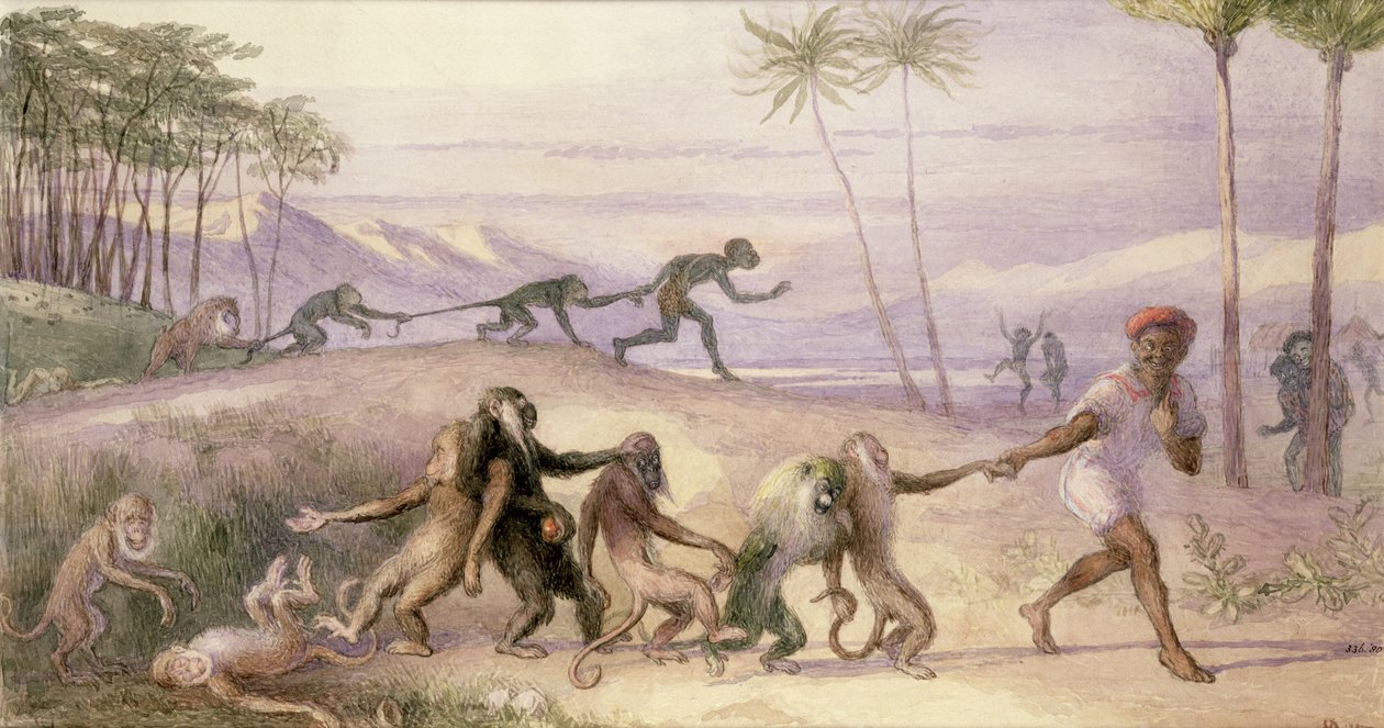 Les manières et coutumes des singes - Richard Doyle