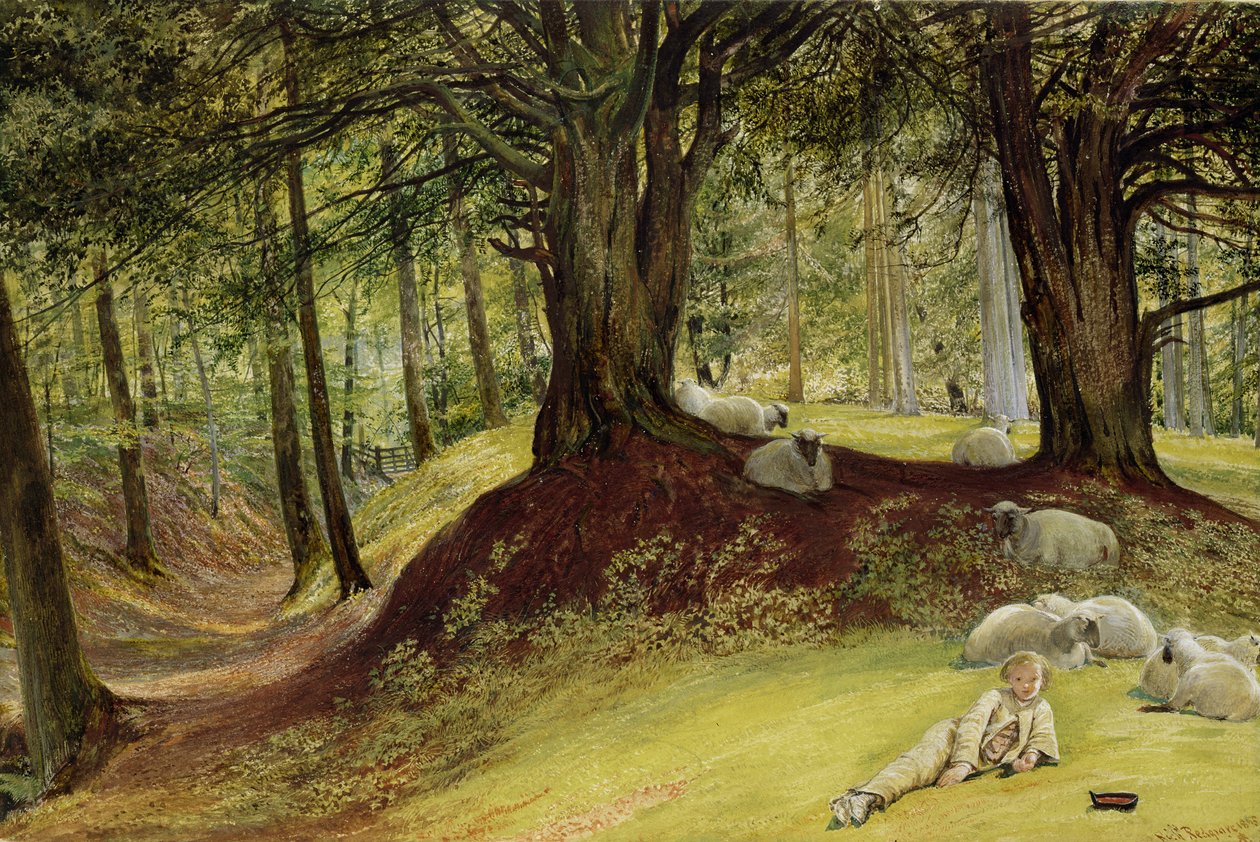 Bois de Parkhurst, Abinger, Surrey - Richard Redgrave