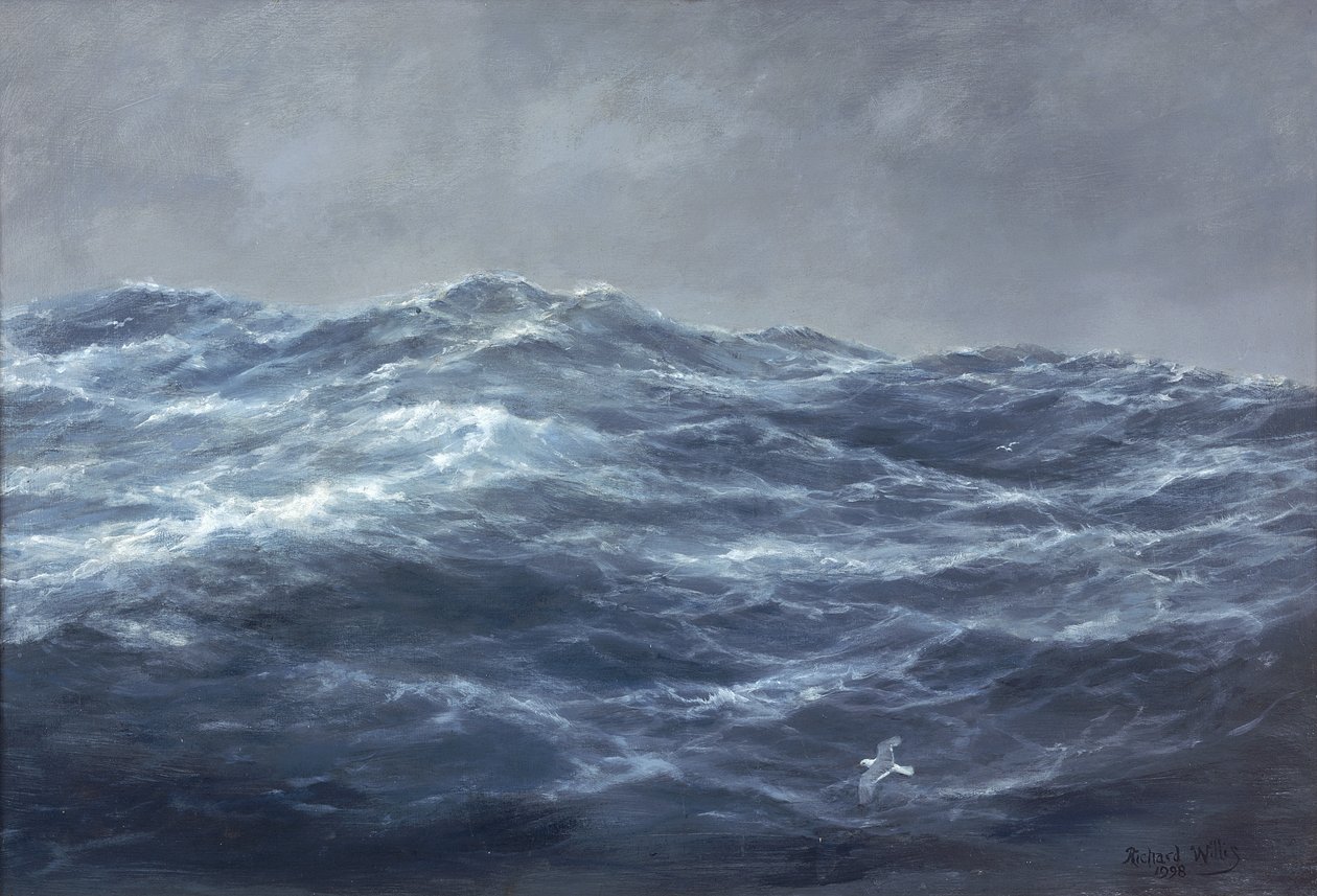 Le chemin des mouettes - Richard Willis