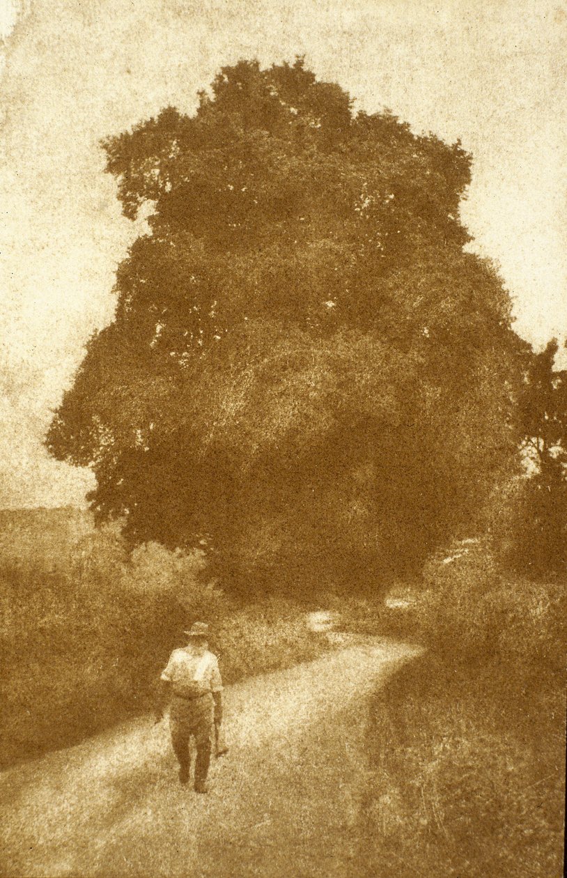 Surrey - John Pardon
