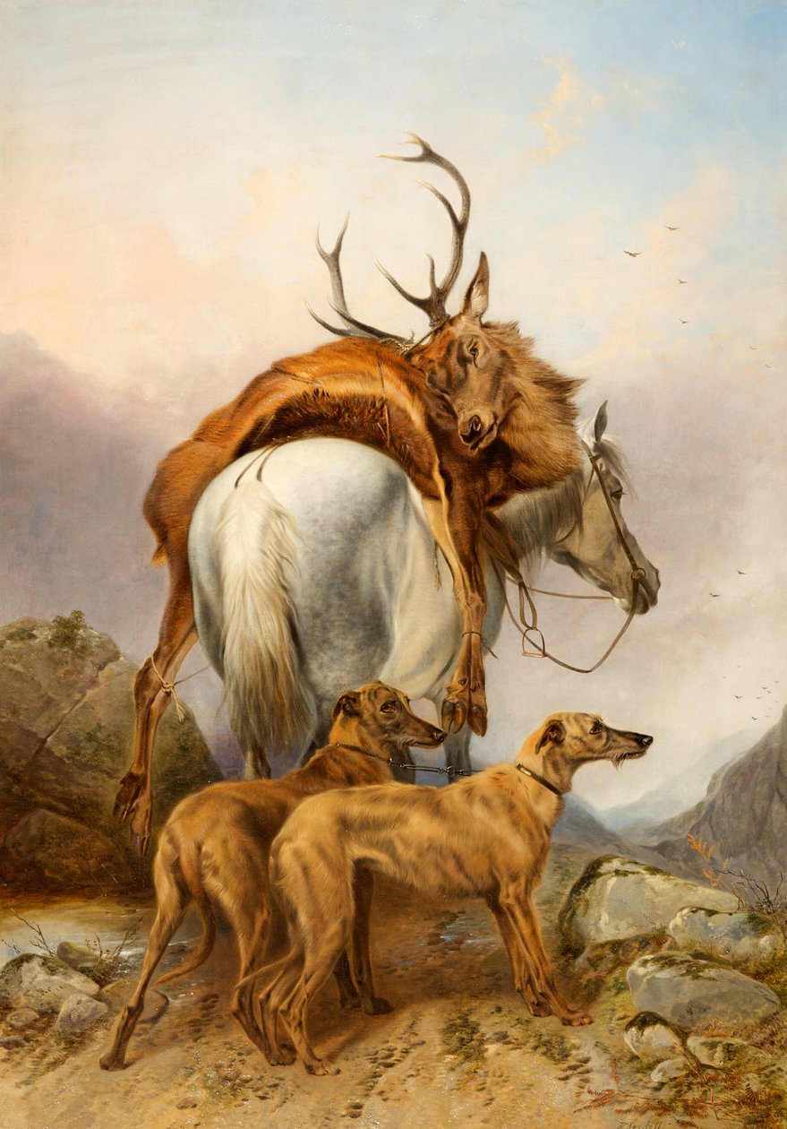 Un poney portant un cerf mort - Richard Ansdell