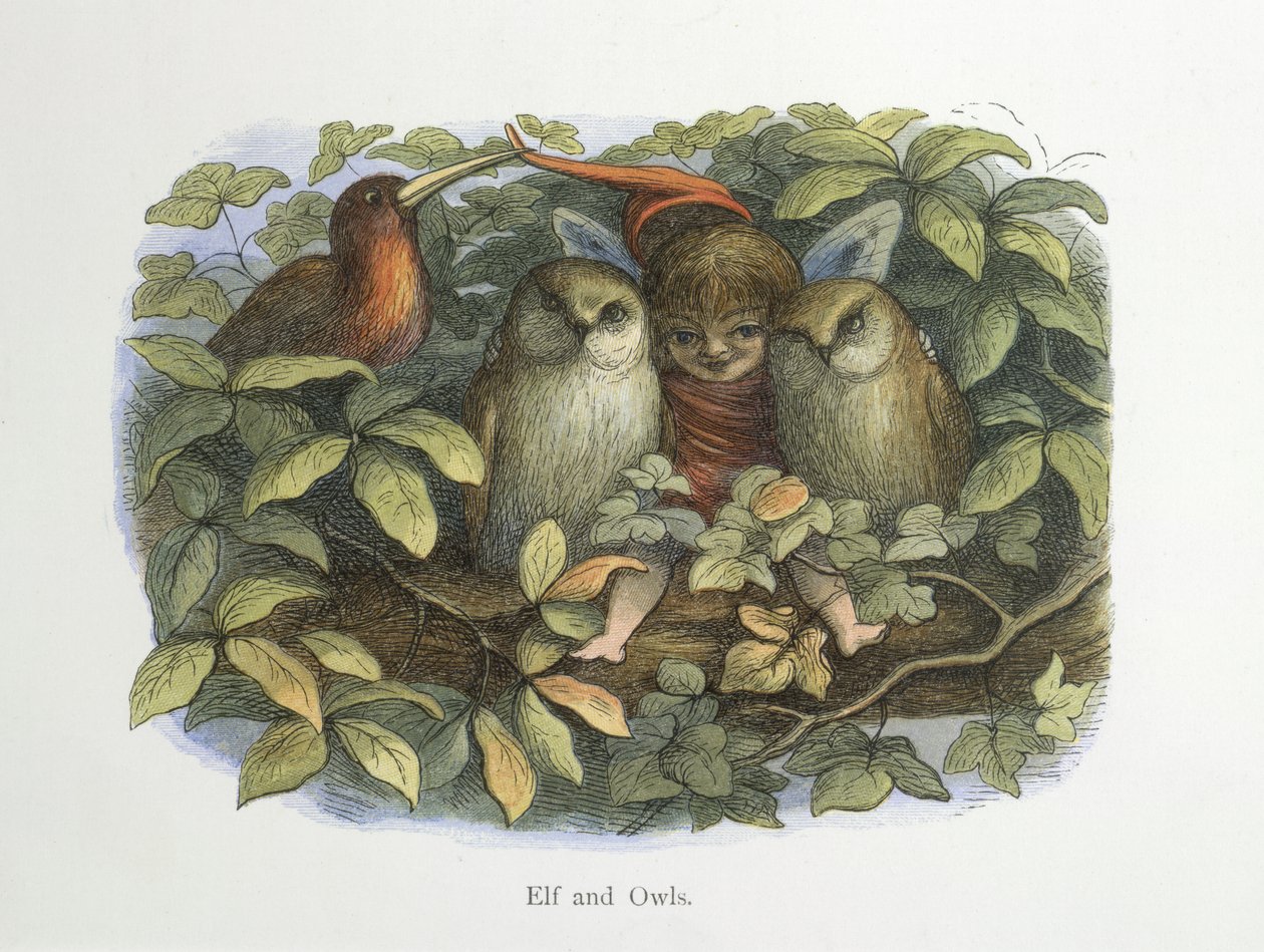 Elfe et hiboux - Richard Doyle