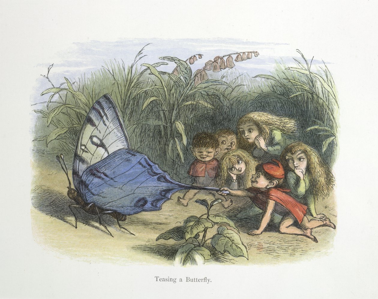 Taquiner un papillon - Richard Doyle
