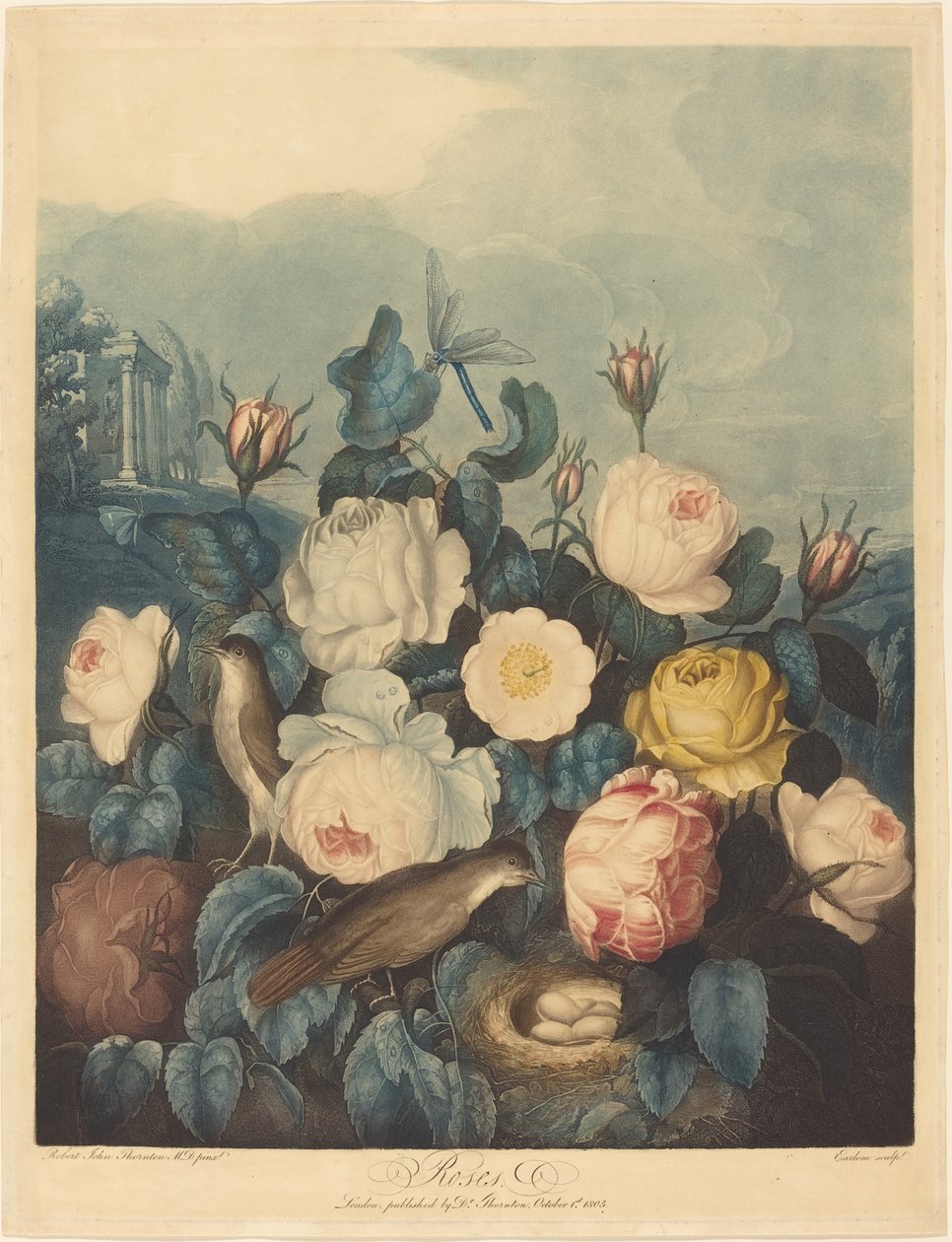 Roses - Richard Earlom after Dr. Robert John Thornton