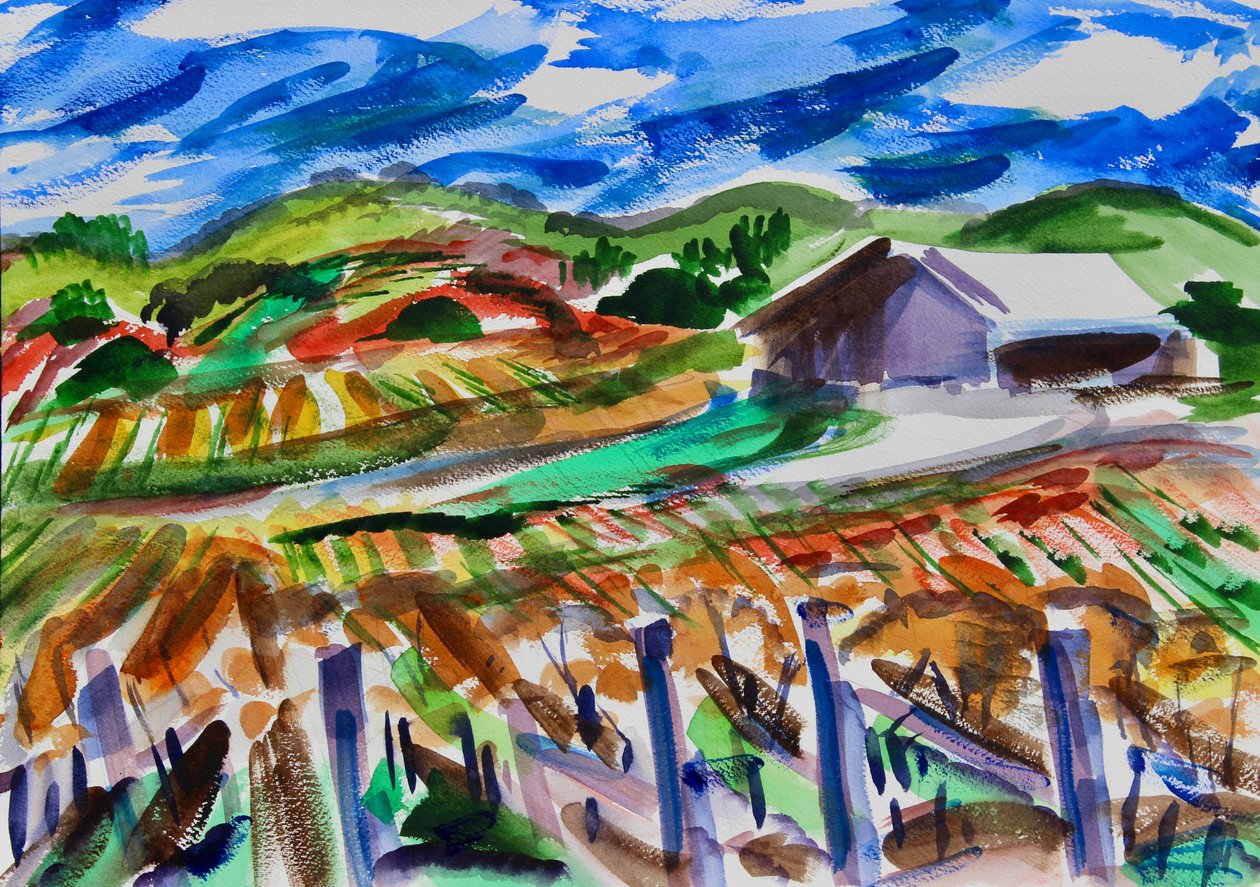Napa en automne - Richard Fox