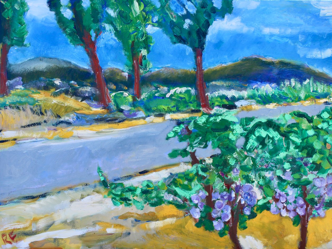 Vignoble en bord de route, Napa - Richard Fox