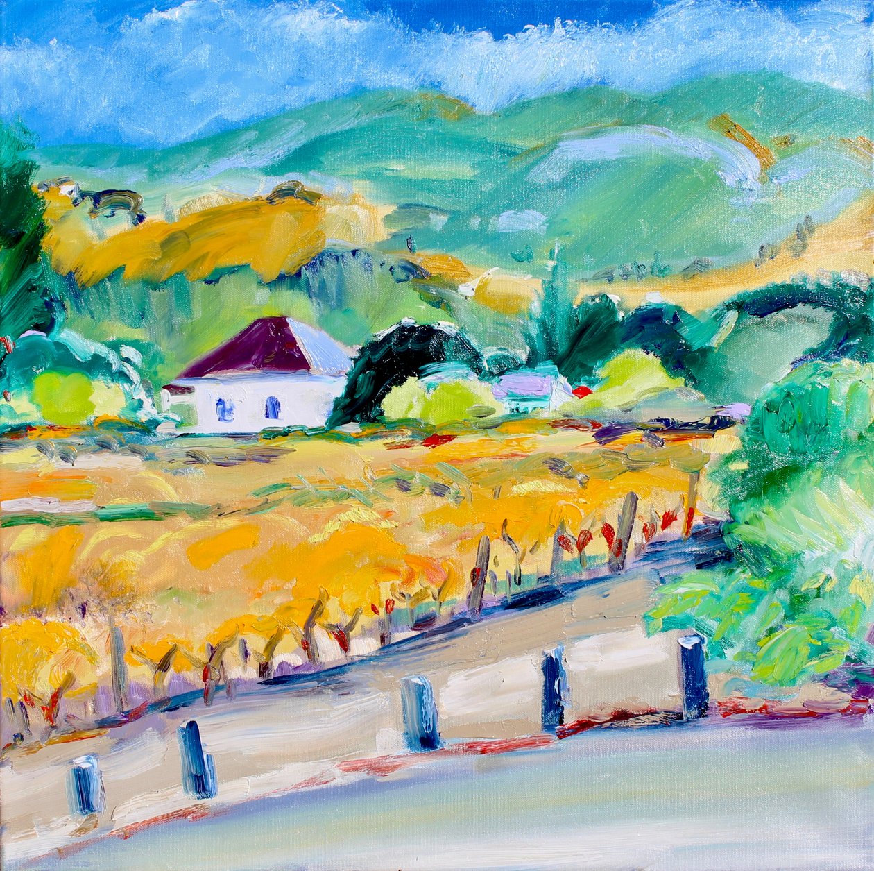 Vignoble en automne, Napa, 2020 - Richard Fox
