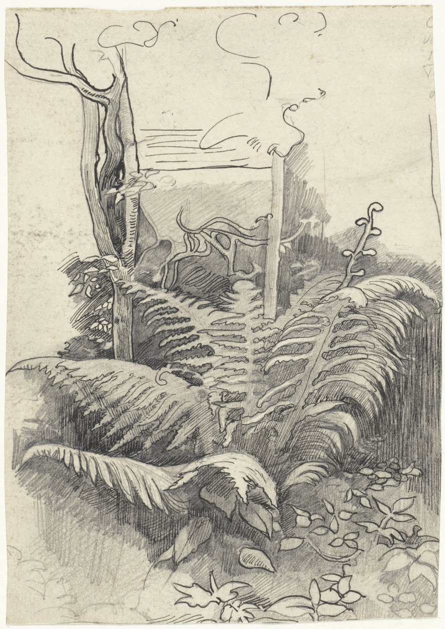 Fougère - Richard Nicolaüs Roland Holst