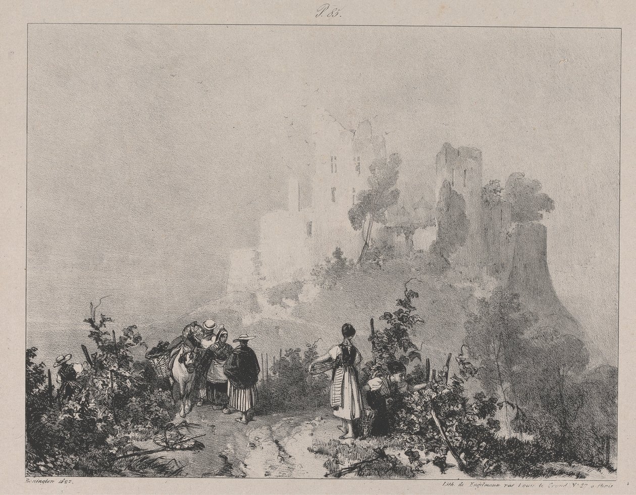 Ruines du château d