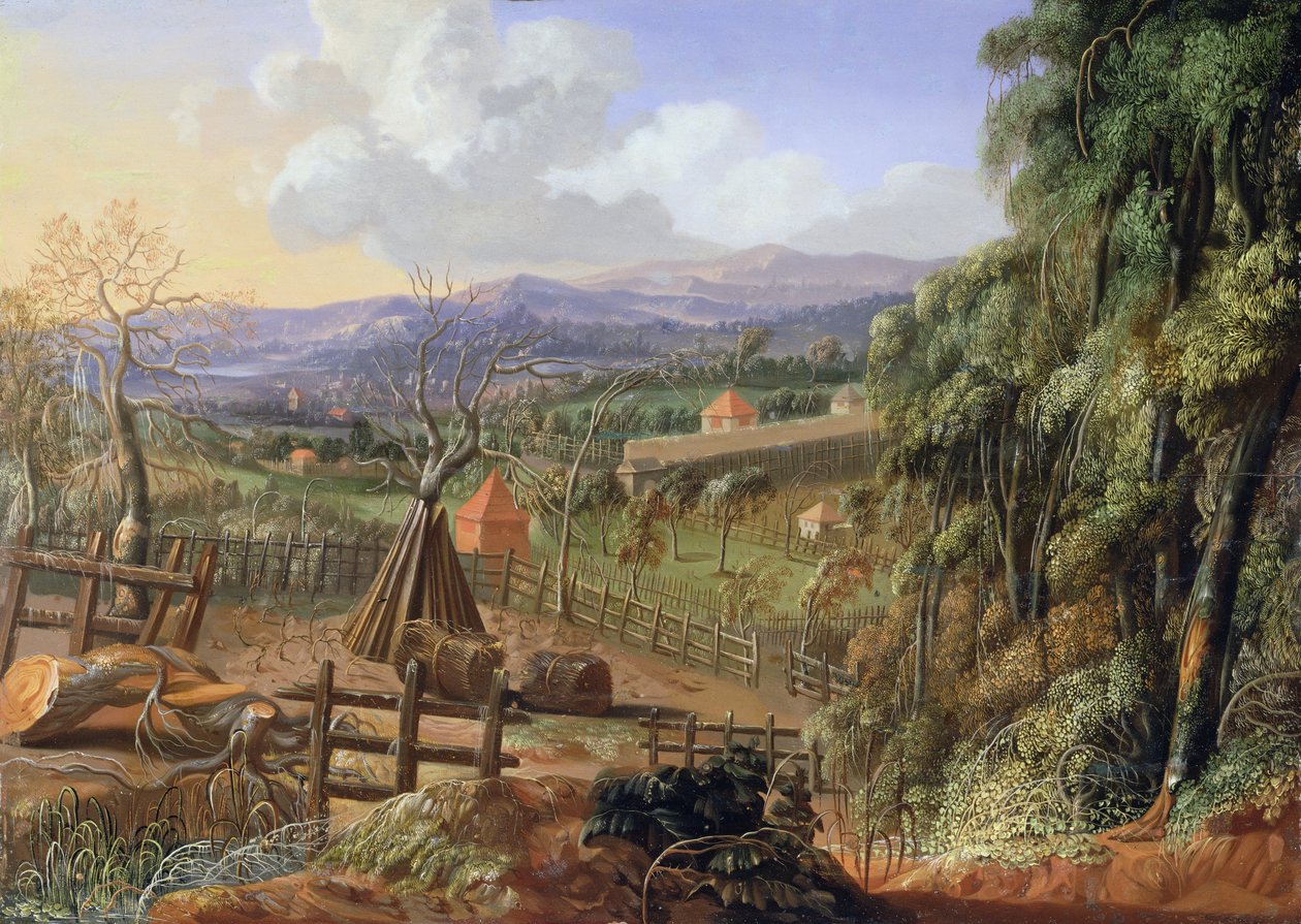 Paysage d