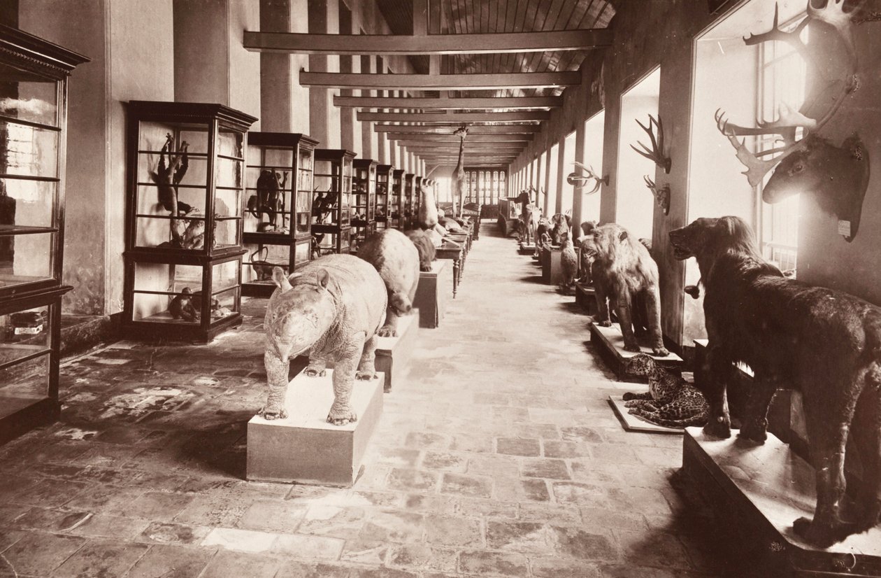 Le Musée national de Bangkok, c.1890 - Robert Lenz