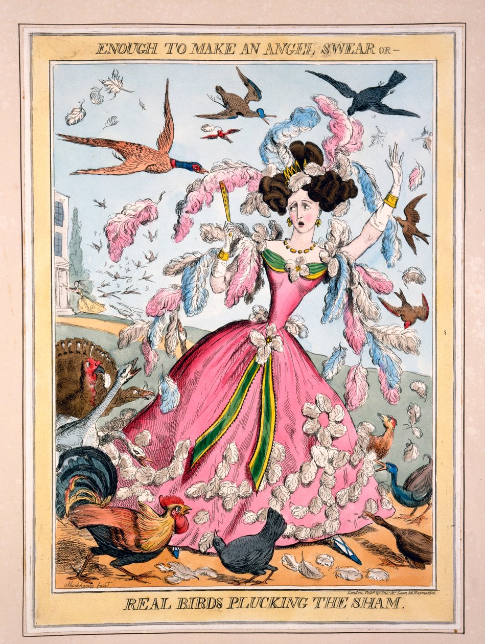 De quoi faire jurer un ange, ou, de vrais oiseaux plument le faux, c.1830s - Robert Seymour