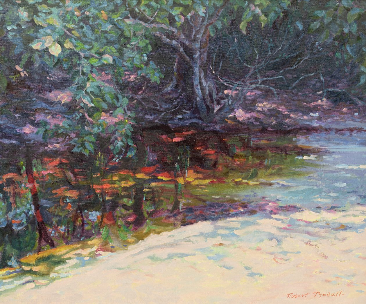Plage et forêt tropicale, Cap Tribulation, Queensland du Nord, Australie - Robert Tyndall