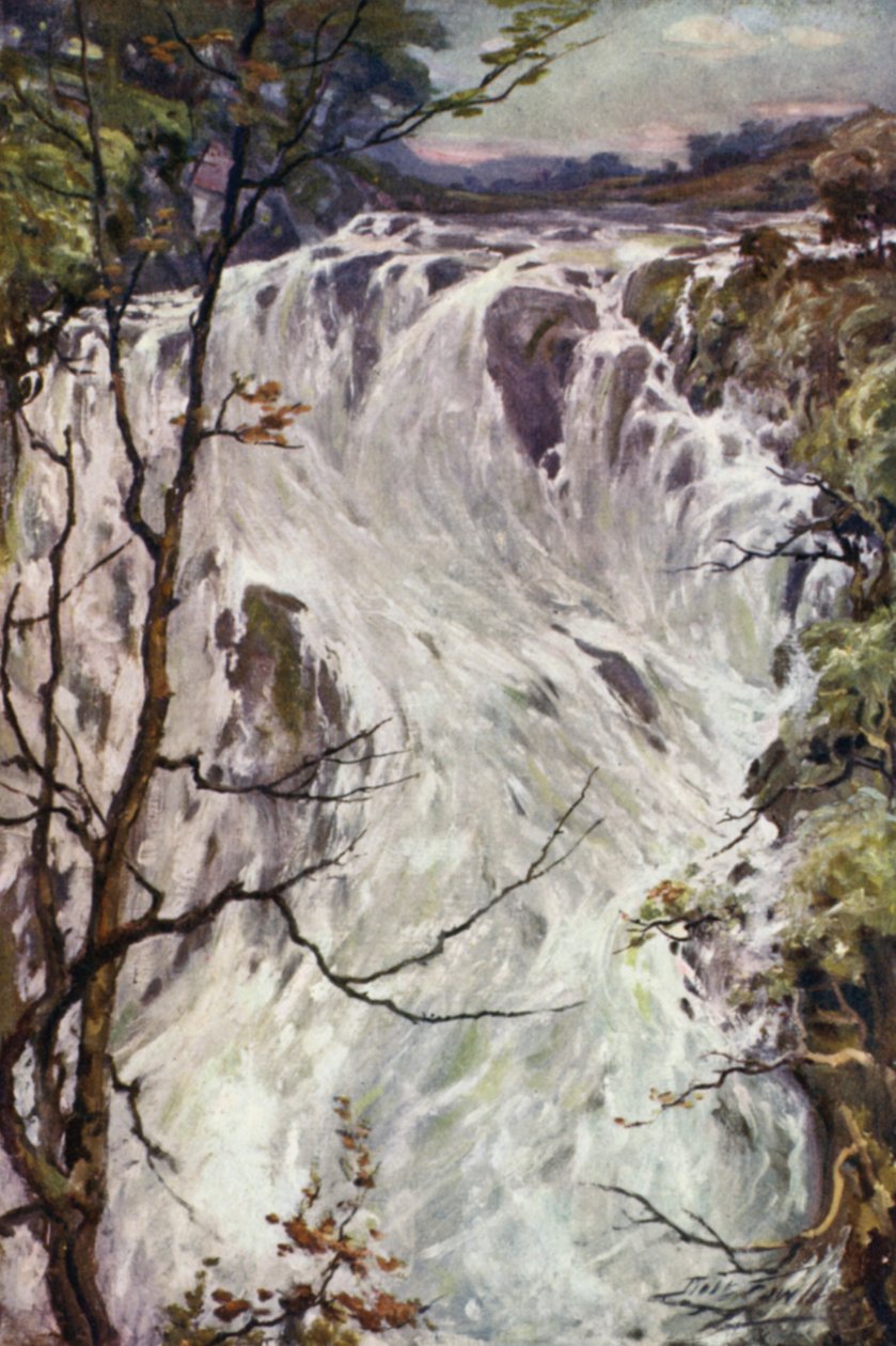 Chutes Swallow, Bettws-y-Coed (lithographie en couleur) - Robert (after) Fowler