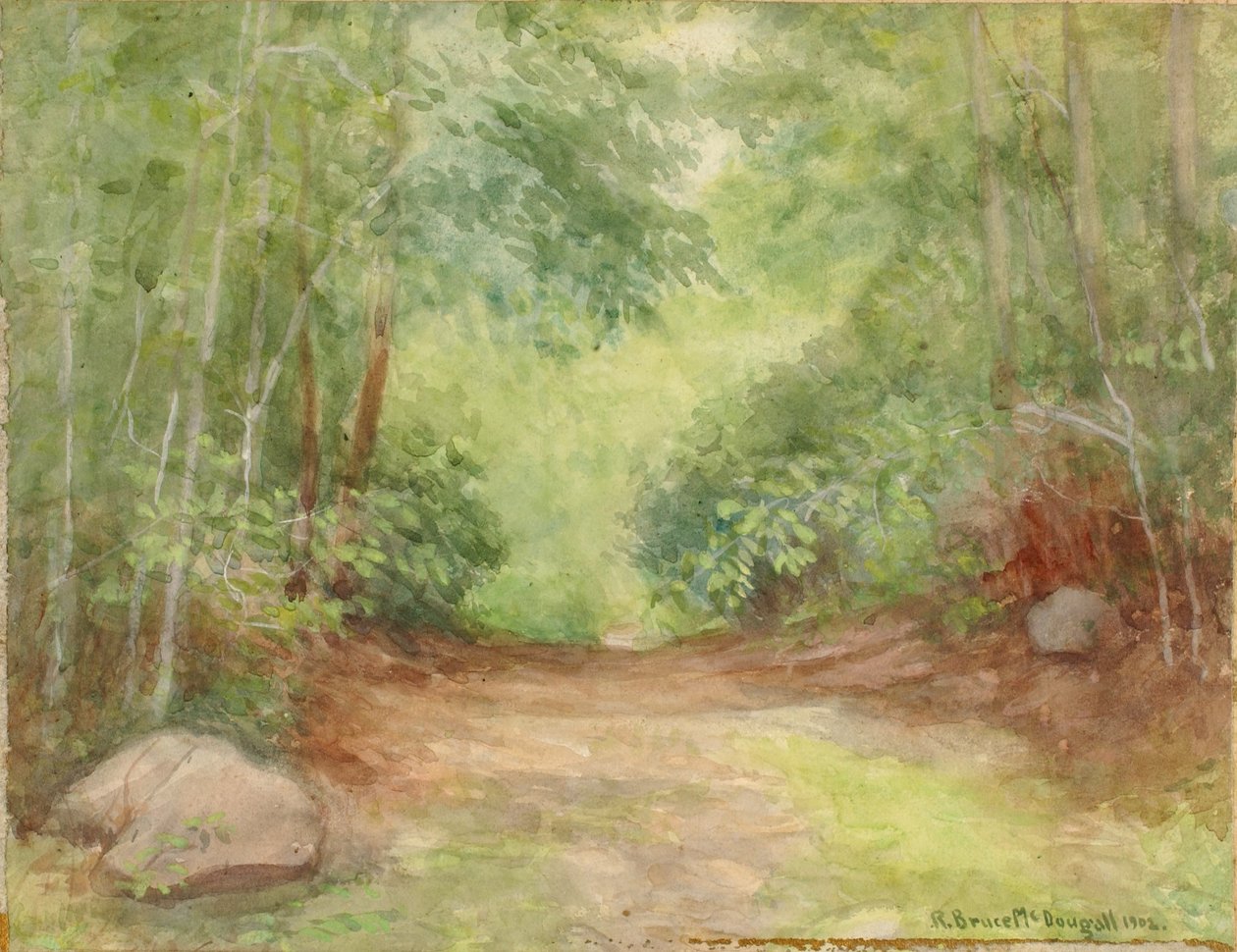 Sans titre (scène de forêt) - Robert Bruce McDougall