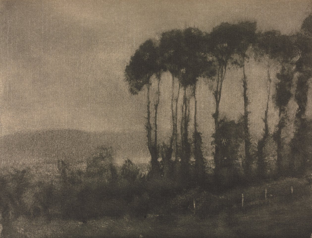 Camera Work : Vallée de Toucques, 1906 - Robert Demachy