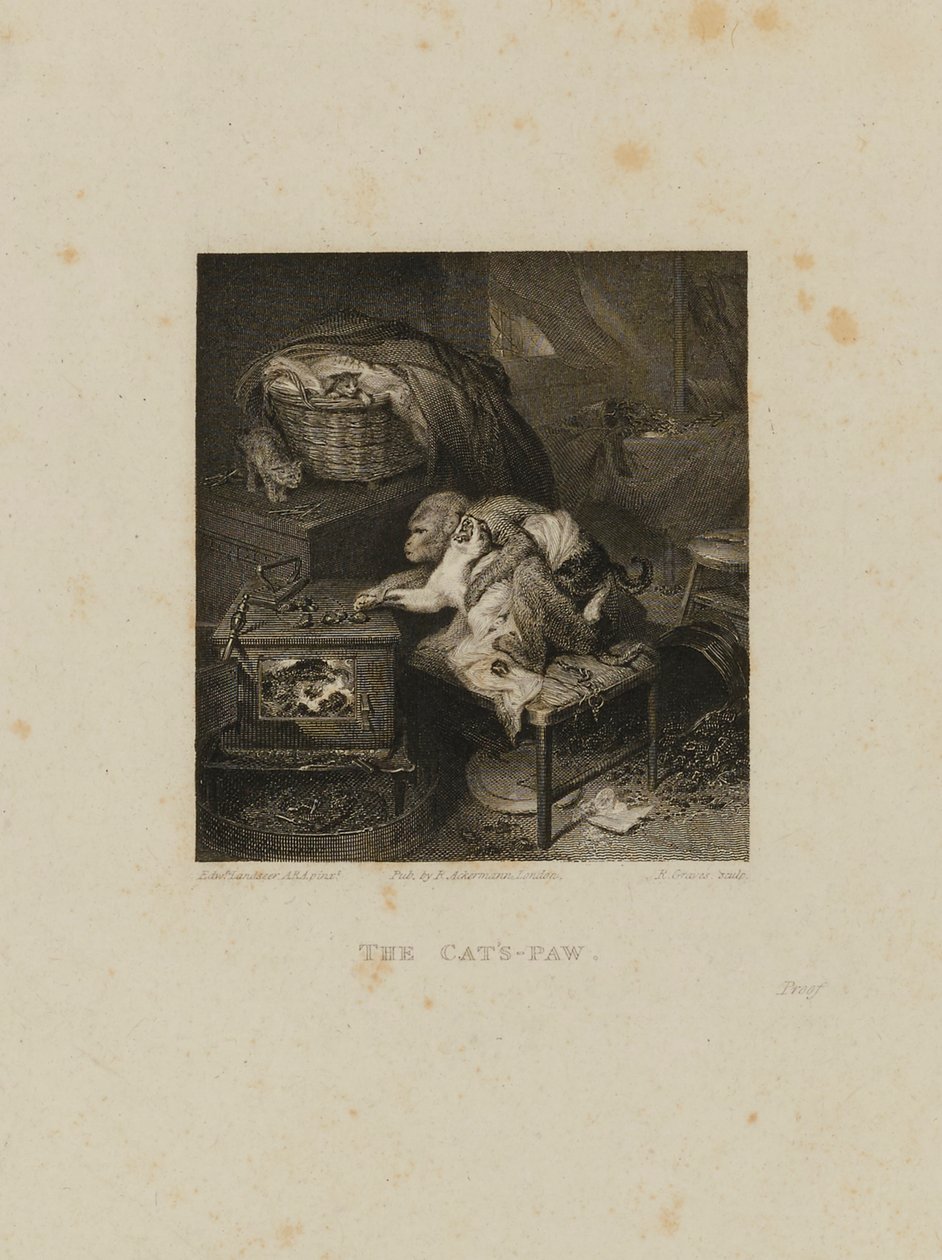 La patte du chat - Robert Graves