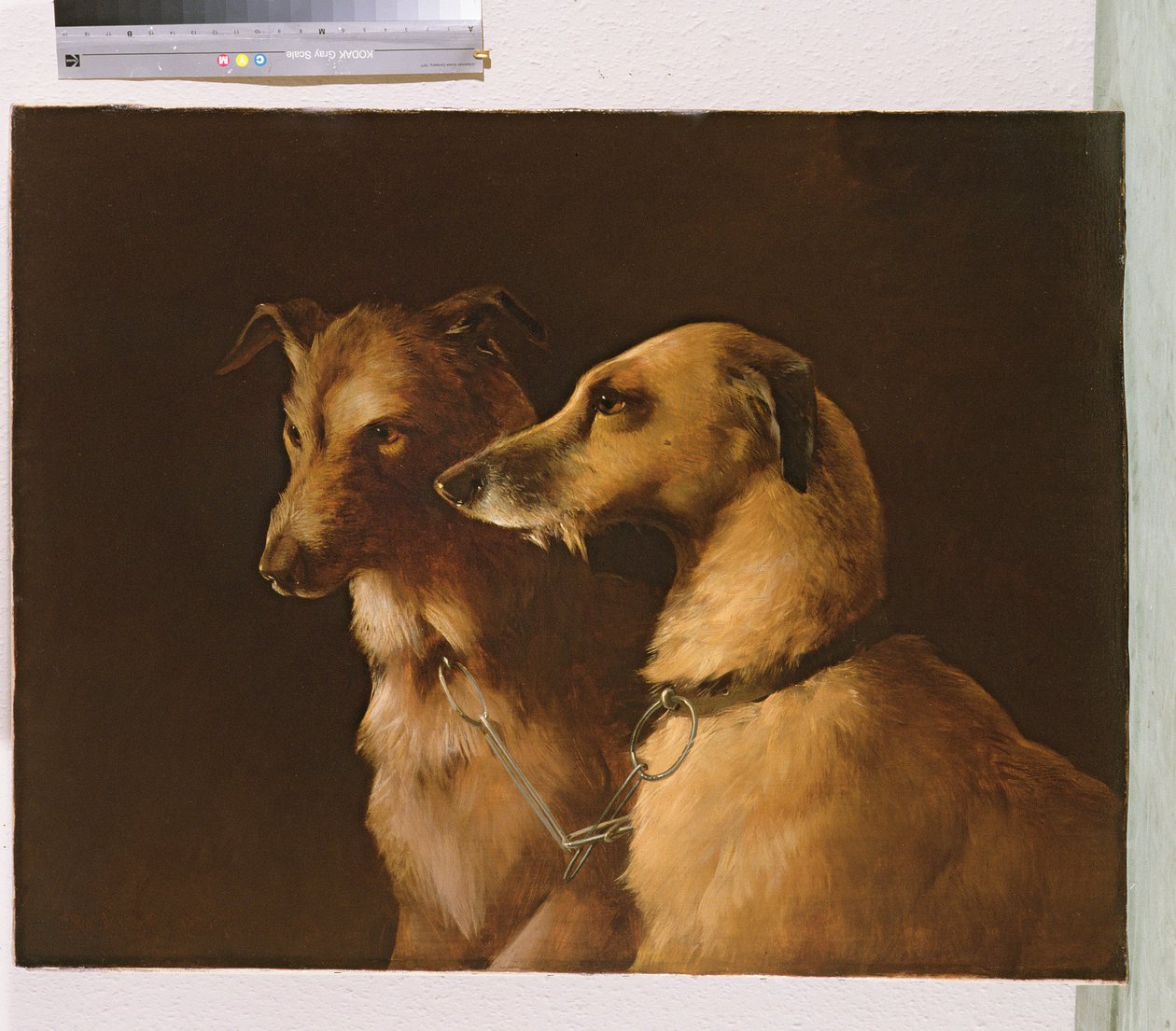 Chiens de cerf - Robert Henry Roe