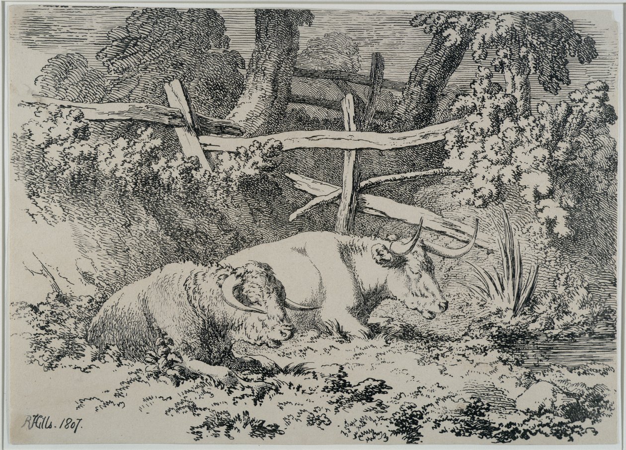 Bétail au repos, 1807 - Robert Hills