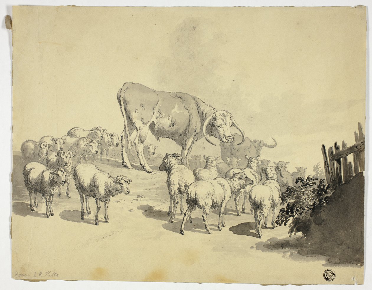 Vaches et moutons - Robert Hills