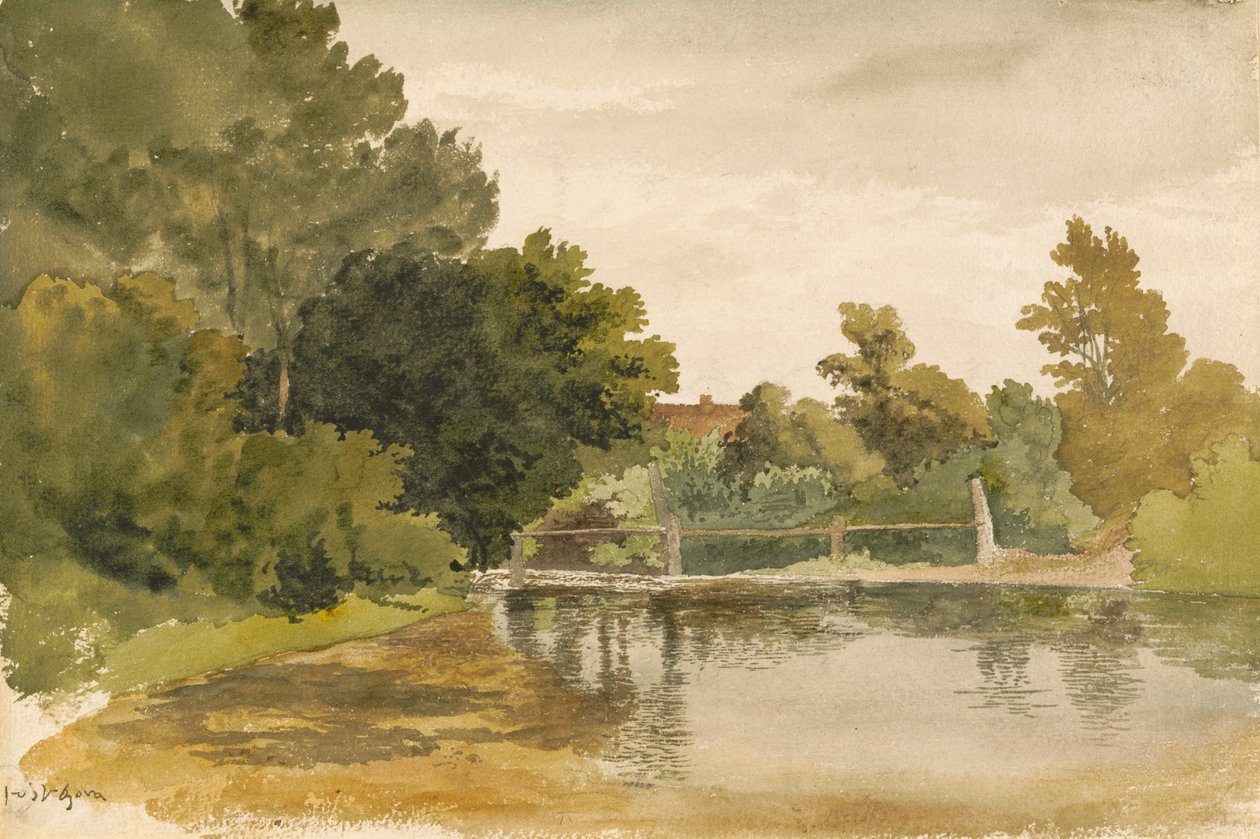 Reflets dans une mare boisée - Robert Hills