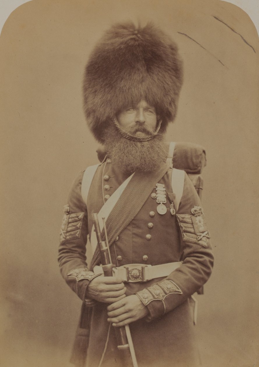 Sergent-major Macgregor, Garde des Fusiliers Écossais - Robert Howlett