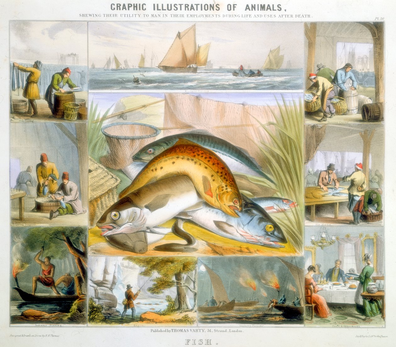 Poisson - Robert Kent Thomas