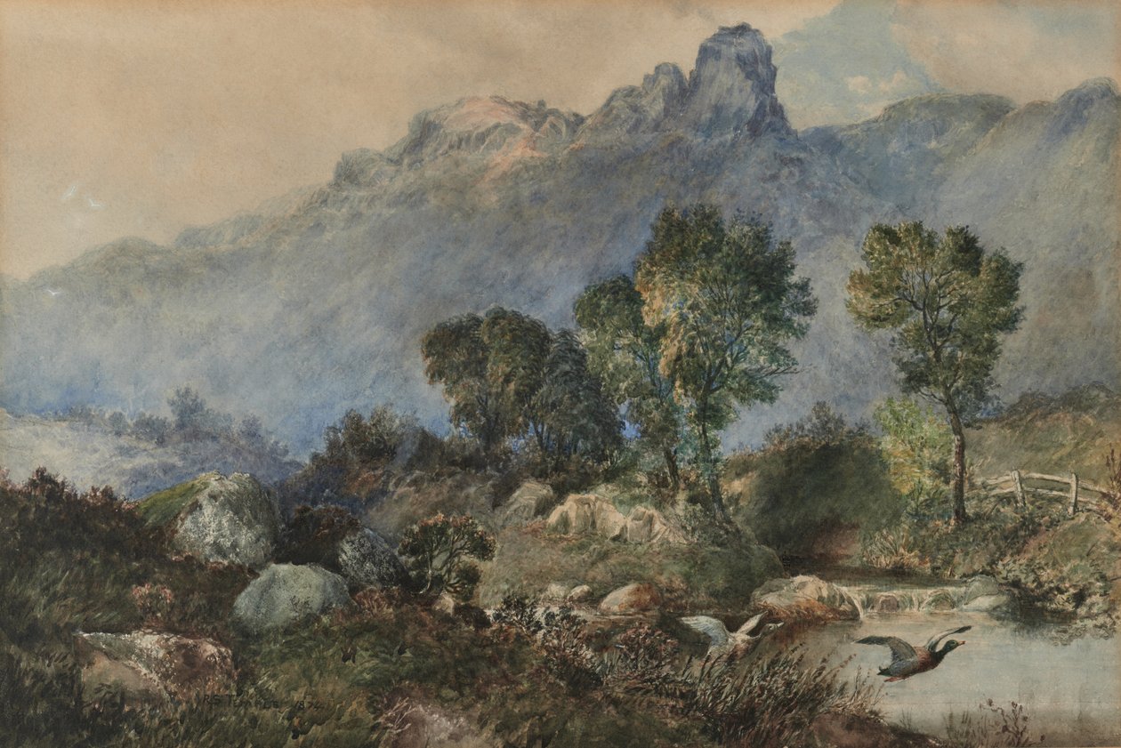 Paysage avec canards colverts - Robert Scott Temple