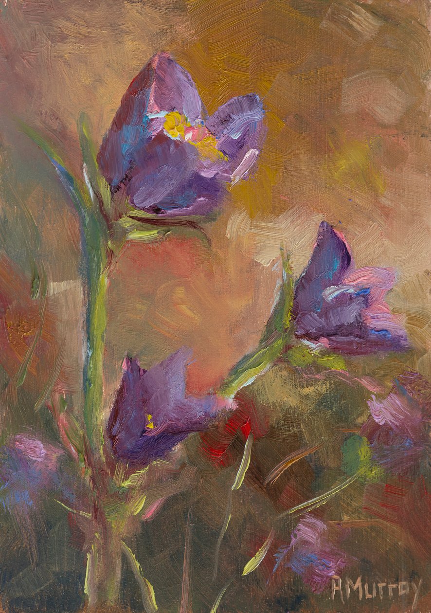 Prairie Crocus, 2023 - Roberta Murray