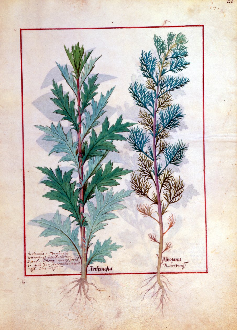 Deux variétés d