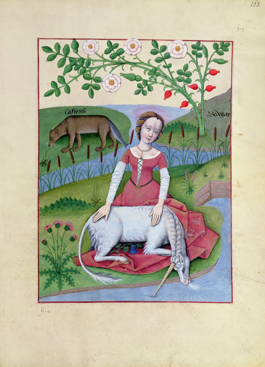 Ms Fr. Fv VI fol.163r Illustration du Livre des simples médecines par Mattheaus Platearius - Robinet Testard