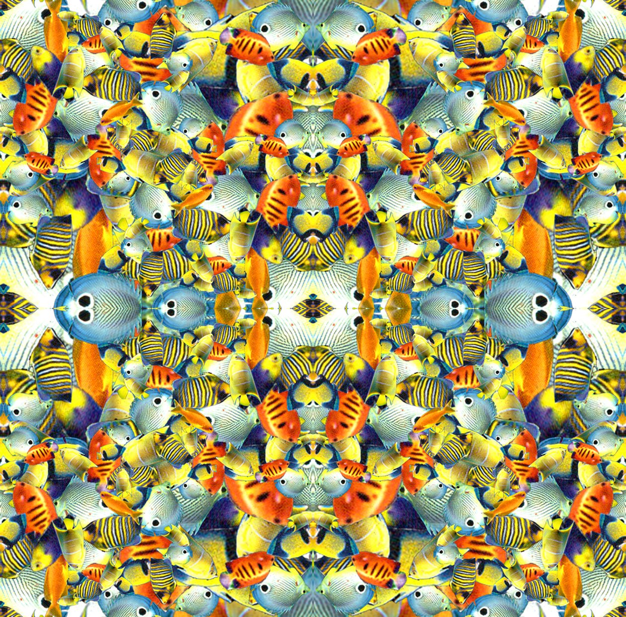 Carreau de poisson kaléidoscope - Robyn Parker