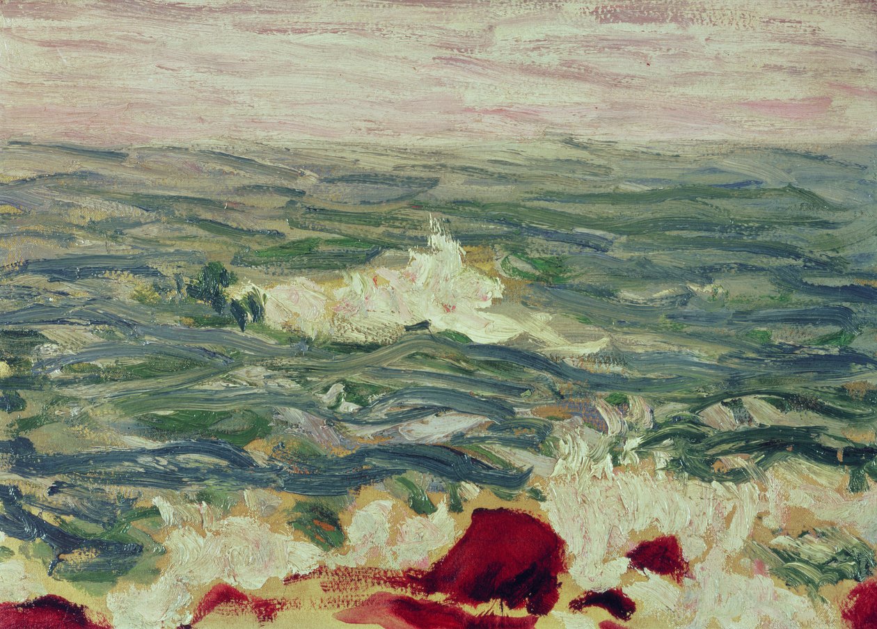 Paysage marin - Roderic OConor