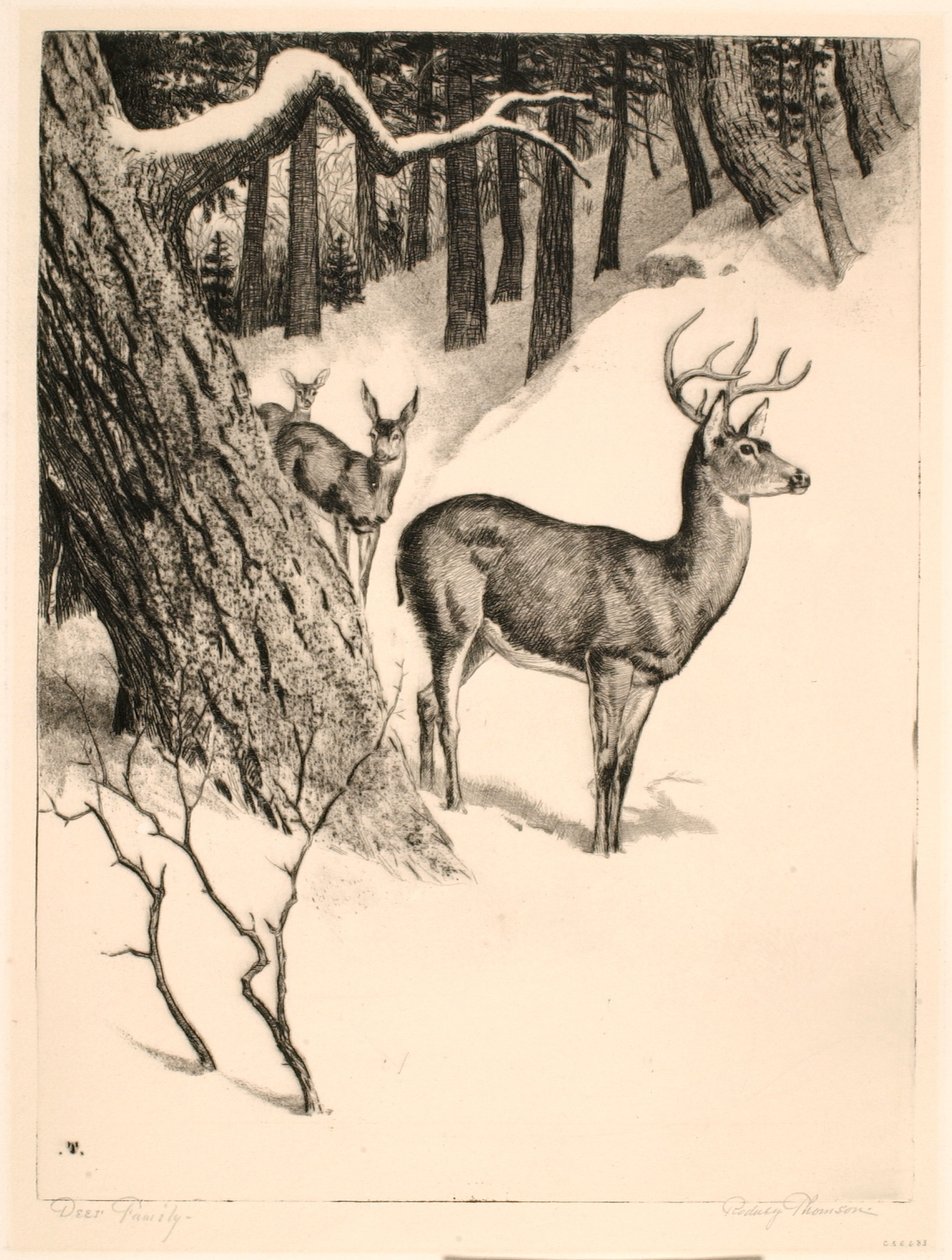 Deer Family - Rodney Thomson