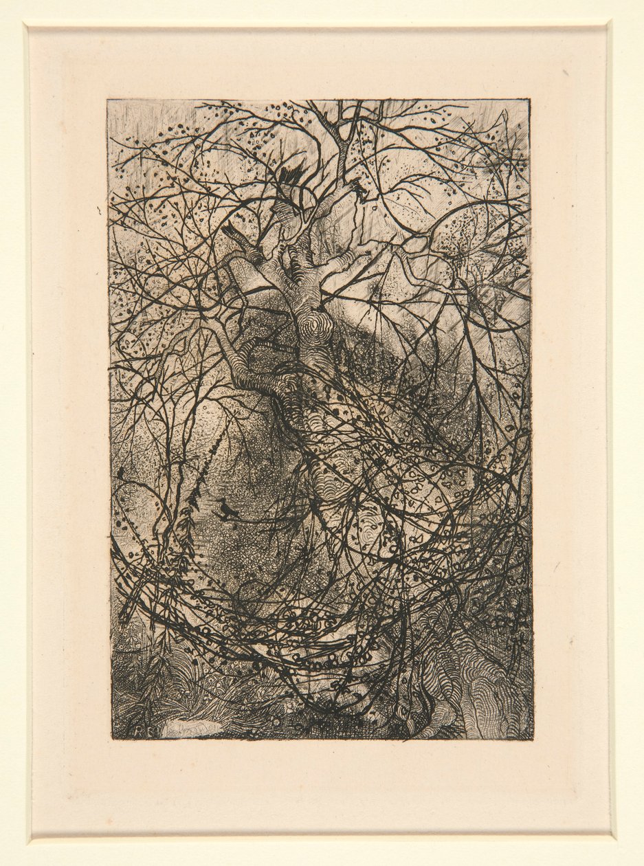Branchages - Rodolphe Bresdin