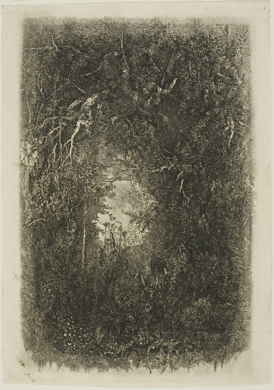 Clairière dans la forêt - Rodolphe Bresdin