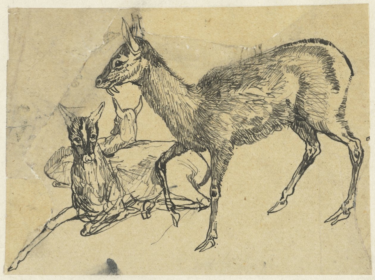 Trois cerfs - Rodolphe Bresdin