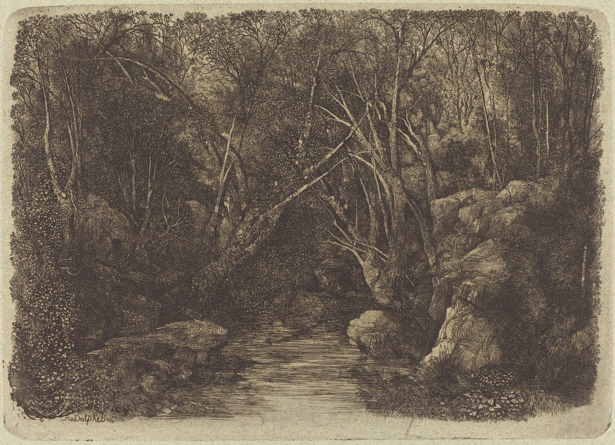 Le ruisseau dans les bois - Rodolphe Bresdin