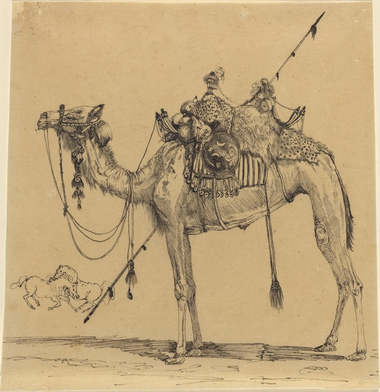Le chameau - Rodolphe Bresdin