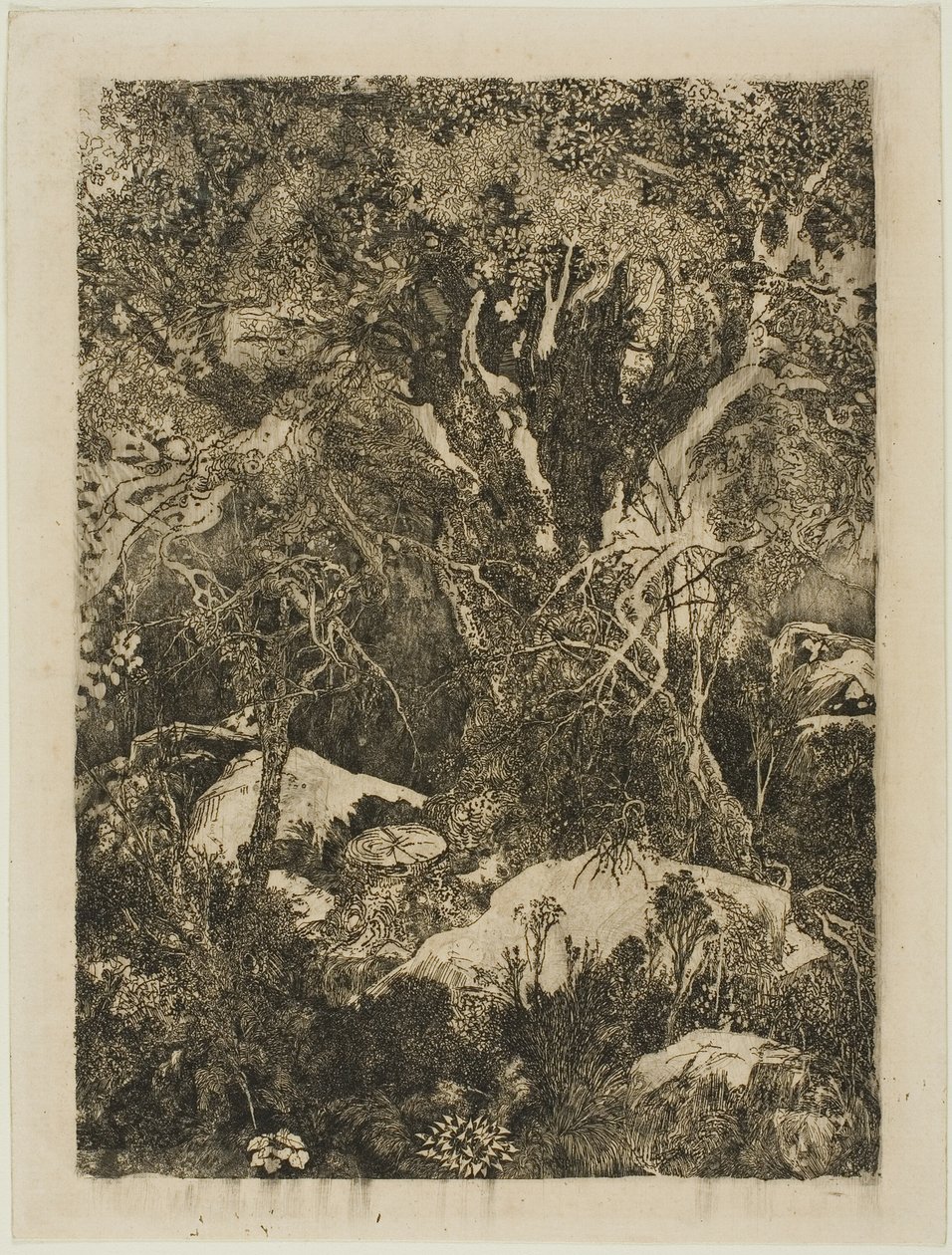 La Forêt de Fontainebleau - Rodolphe Bresdin