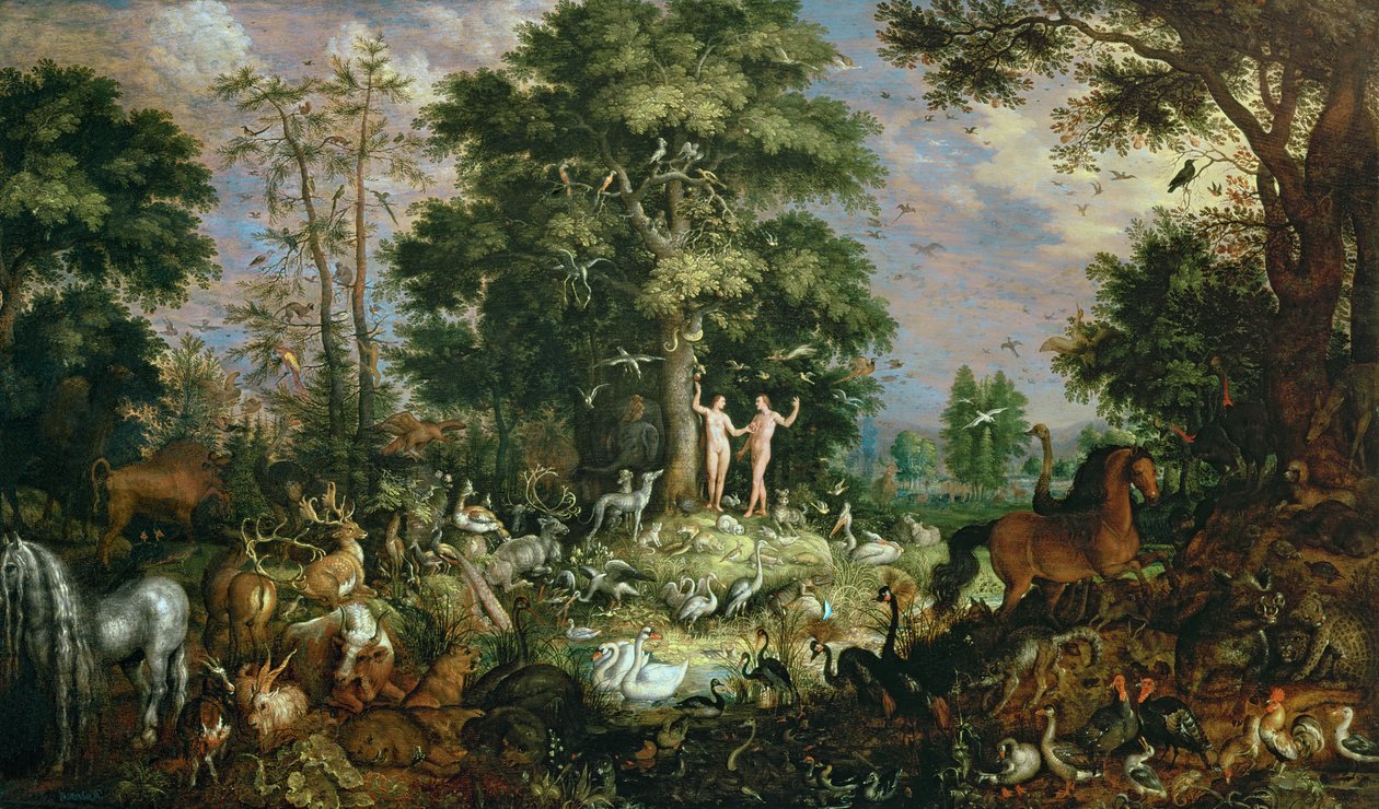 Jardin d