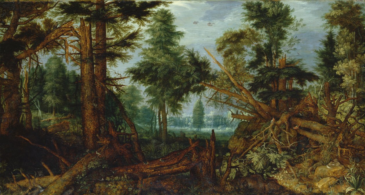 Bois après la tempête - Roelandt Jacobsz. Savery