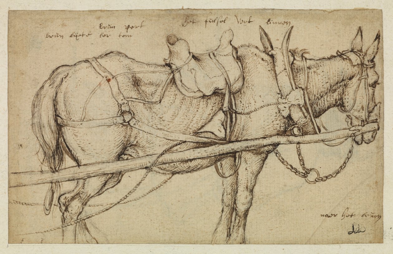 Mule harnachée - Roelandt Jacobsz. Savery