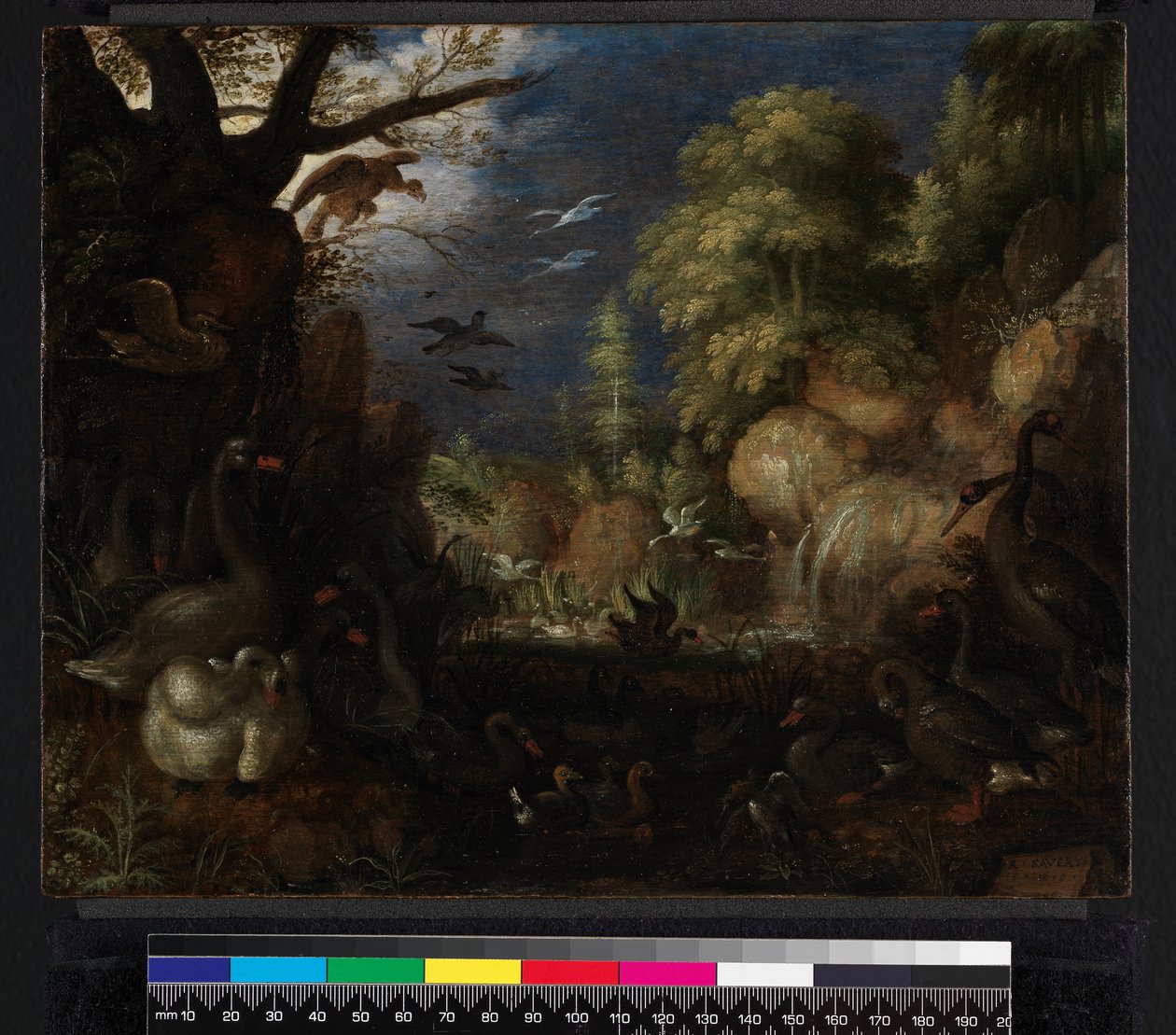 La Création des oiseaux, 1619 - Roelandt Jacobsz. Savery