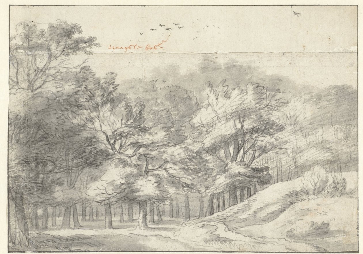 Vue dans la forêt de La Haye - Roelant Roghman