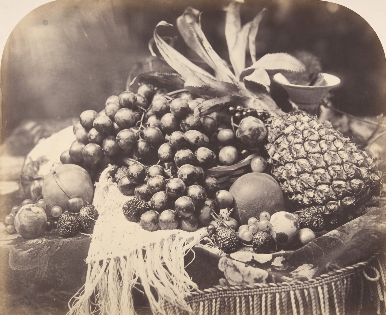 Nature morte avec fruits, 1860 - Roger Fenton