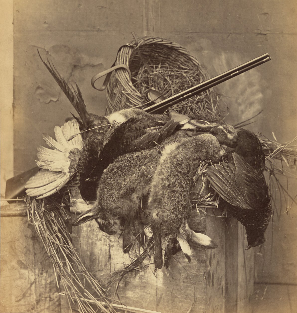 [Nature morte avec gibier et fusil] - Roger Fenton
