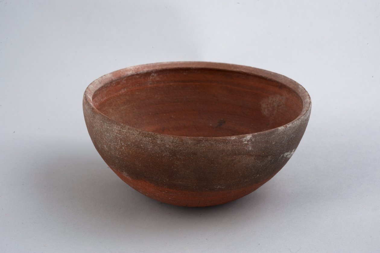 Tasse - Roman